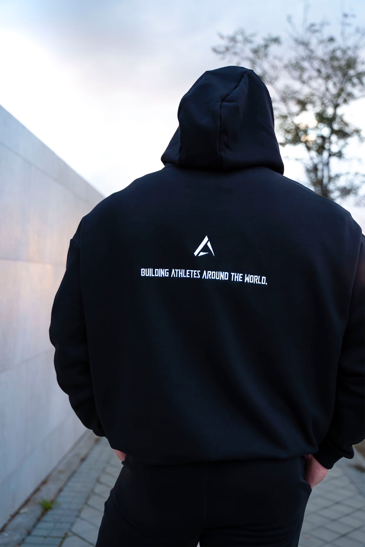 Alpha Wolf Premium hoodie - EXTRA Oversized